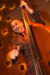 2007-03-18 at 00-06-02